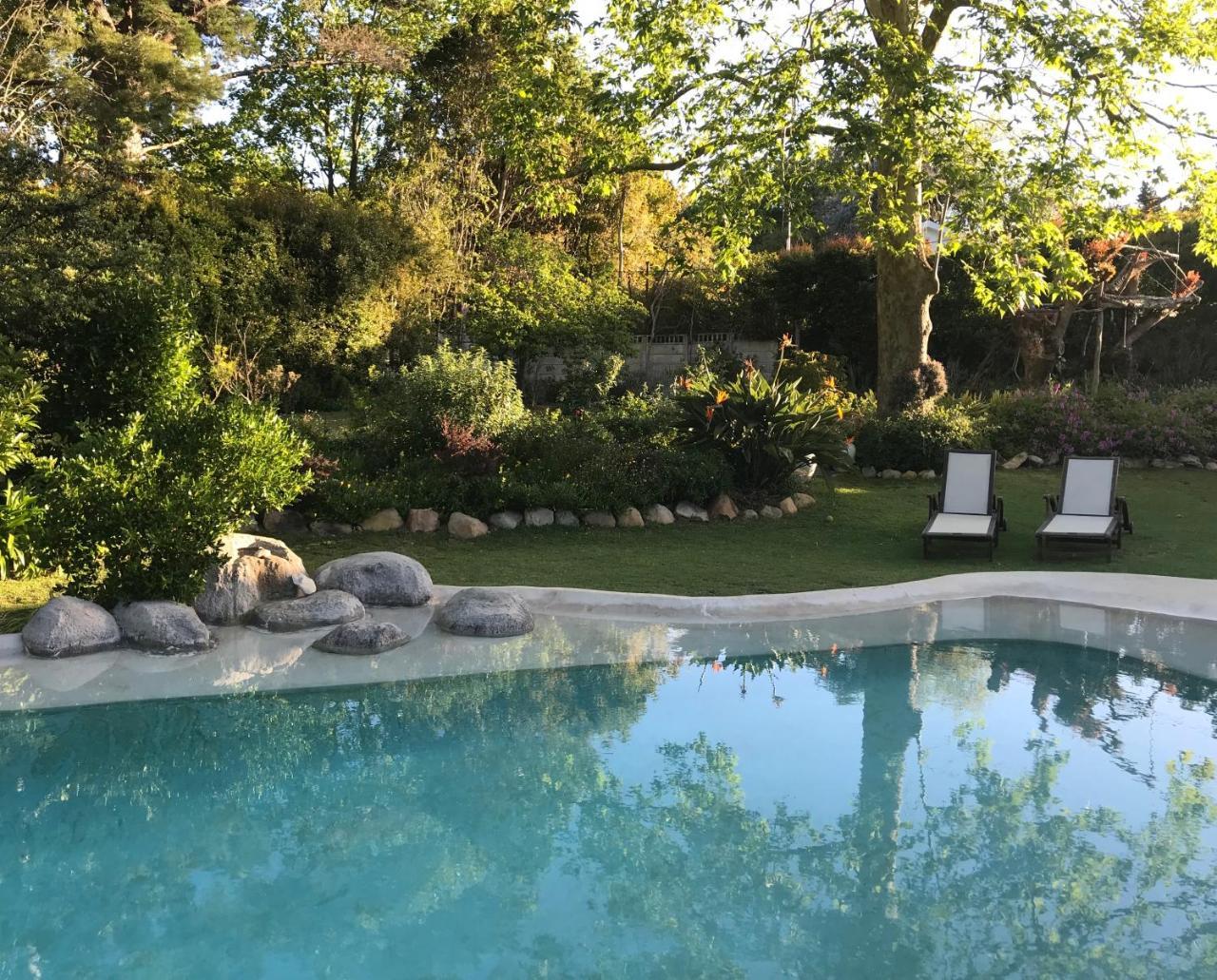 Beluga Of Constantia Guest House Cape Town Bagian luar foto