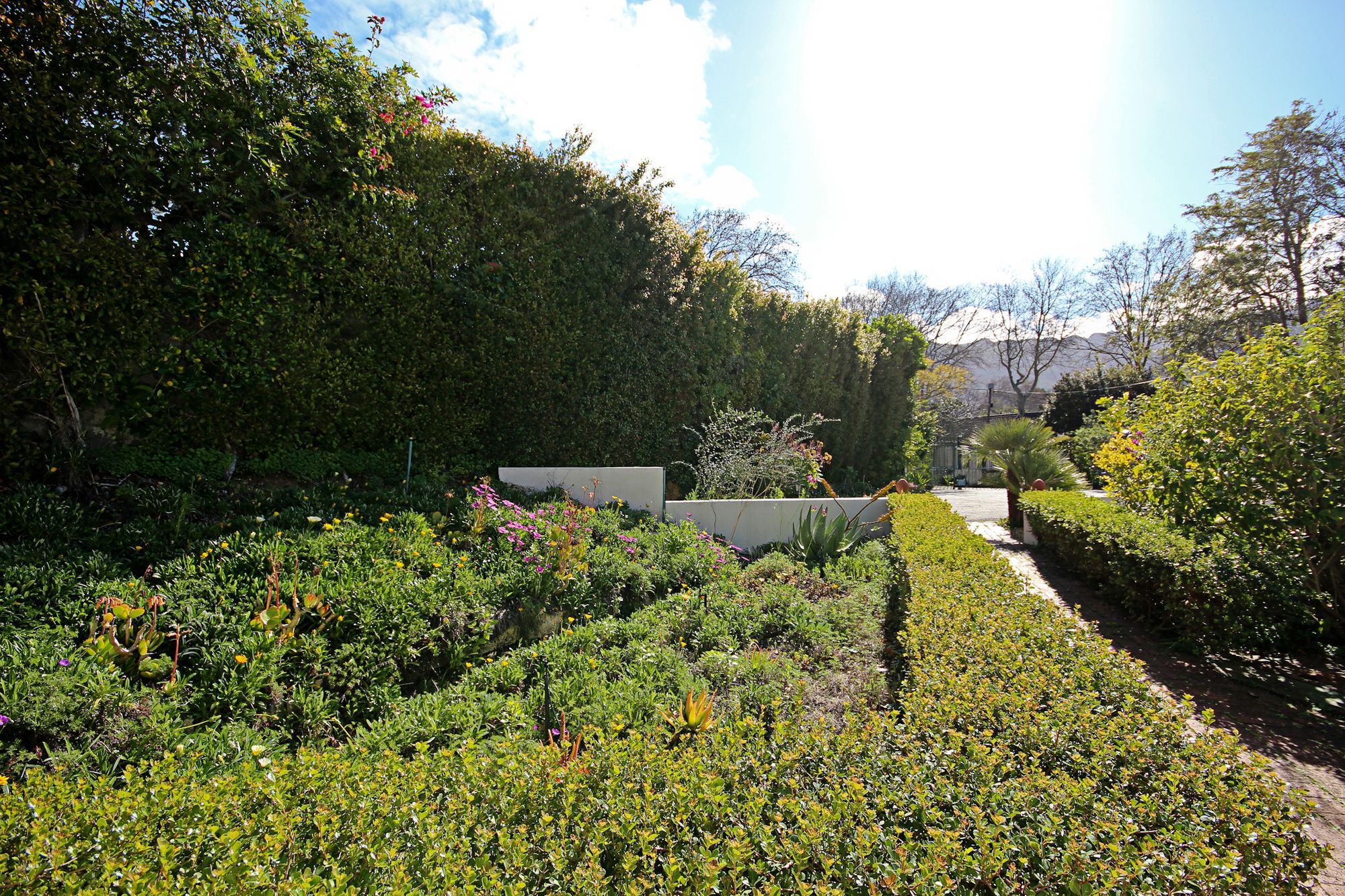 Beluga Of Constantia Guest House Cape Town Bagian luar foto