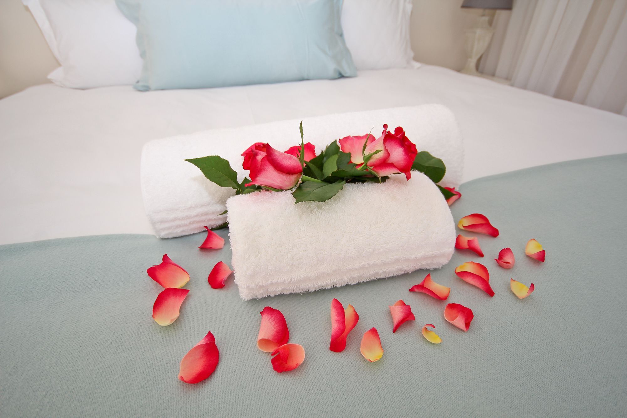Beluga Of Constantia Guest House Cape Town Bagian luar foto